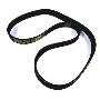 Accessory Drive Belt